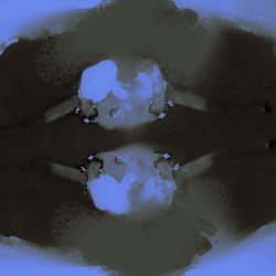 B2372