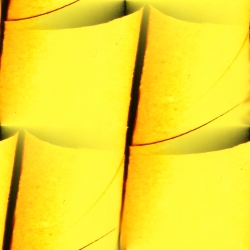 G0687