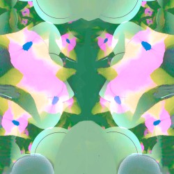 GR2167