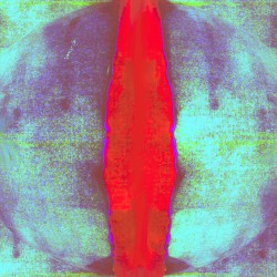 R2226