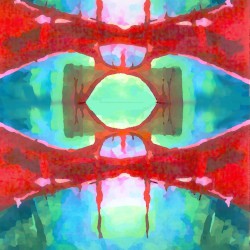 RO817