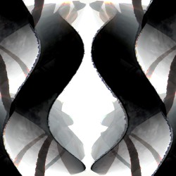 SW2345