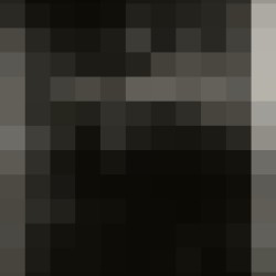 SW2351
