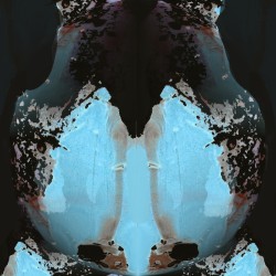 SW1097