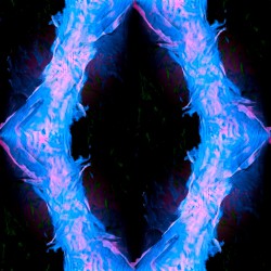 SW1019