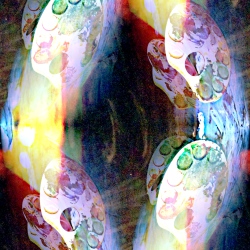 SW2257